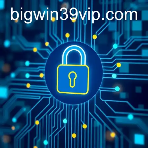 Understanding Privacy Policy in the Context of BIGWIN39